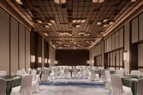 05-天府农博酒店-宴会厅h