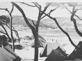 雪地上有一些树

AI 生成的内容可能不正确。