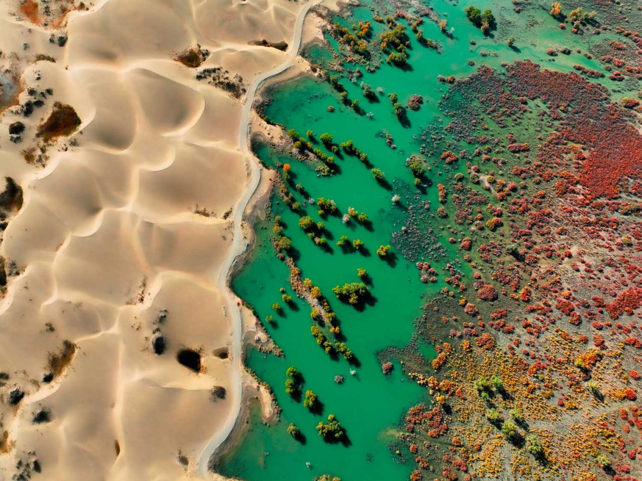 微信图片_20250831181426_4414_15