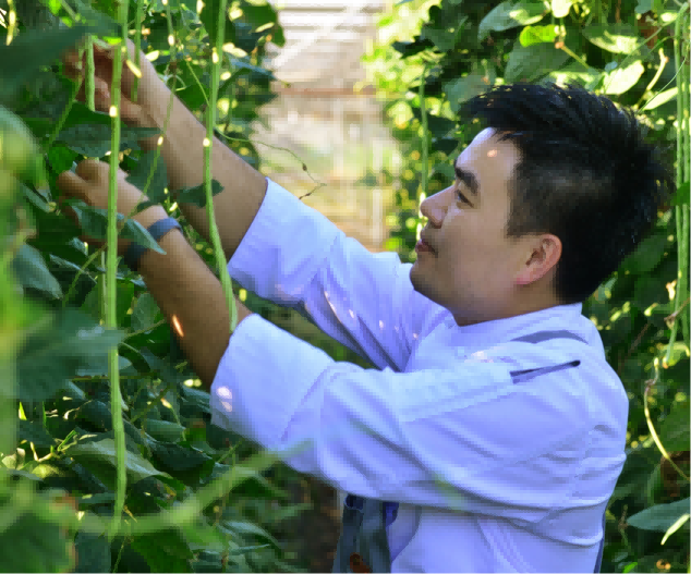 穿着蓝色衣服的男人在花园里
AI 生成的内容可能不正确。