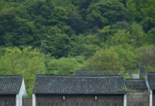 清明踏春|会稽山阴赴一场东方诗意之约 旅拍2