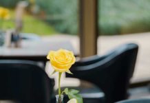 龙井新茶 春鲜满堂 ——杭州久泰饭店摩卡花园推出龙井新茶主题下午茶自助 小红书图8