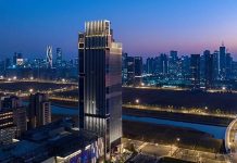 蝶变入新境,木棉再绽放 图片-1